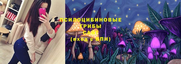 стафф Протвино