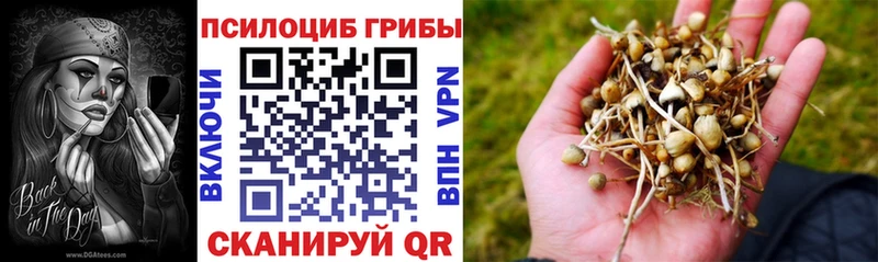 хочу наркоту  Старая Купавна  Галлюциногенные грибы прущие грибы 